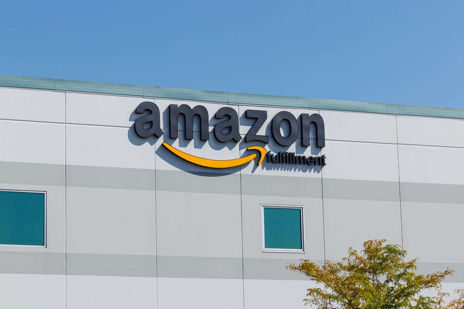 EU regulation threatens economic benefits of AI, Amazon claims - Vimarsana News