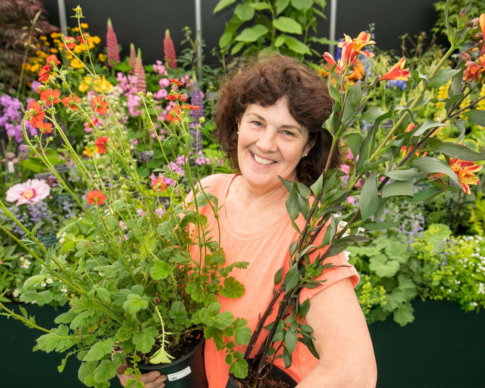 Perennial pleasures of flowers on wonderful display at Bloom | Business ...