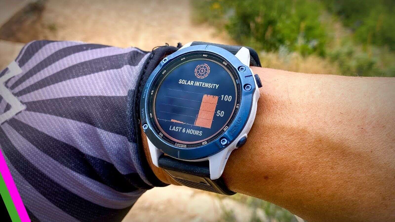 The Gadget Guru Garmin Fenix 6 Pro Solar Echelon Smart Rower Andobil Bike Phone Mount Business Post