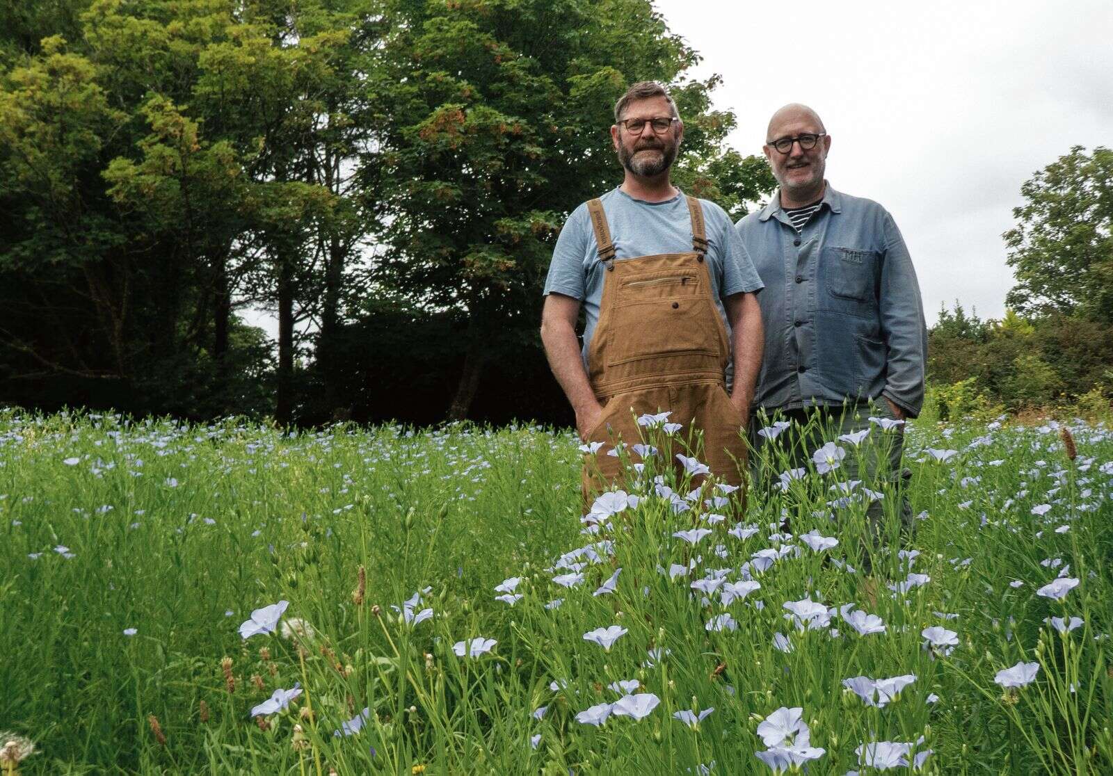 Making it Work: Modern Botany puts the power of nature at the heart of ...
