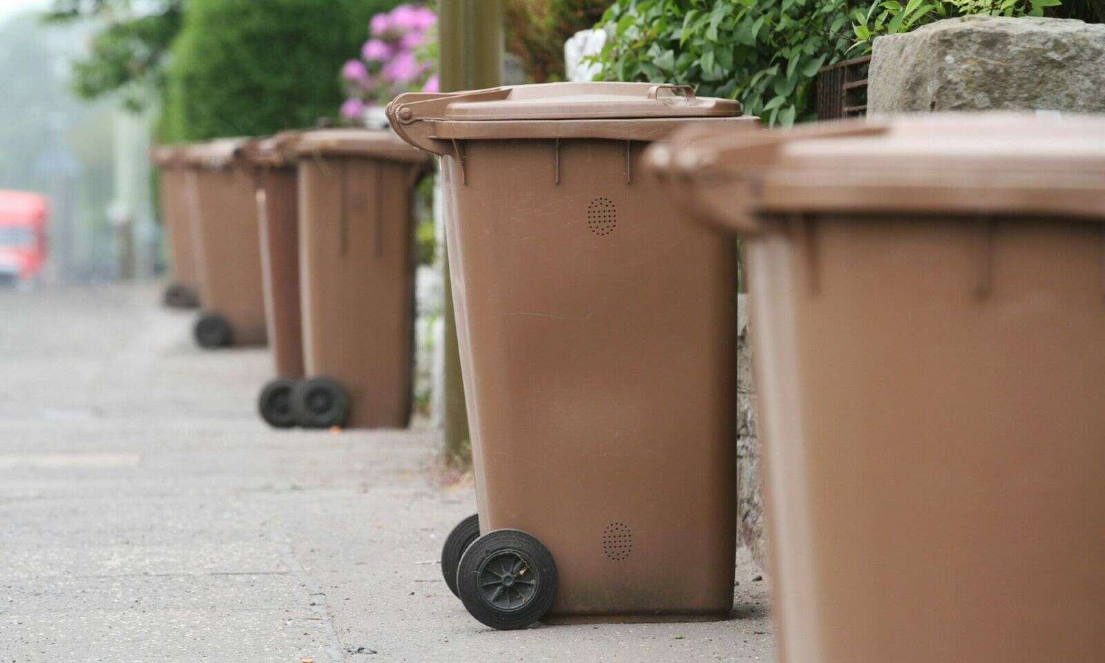 Brown bins for food waste could get a nationwide rollout Business Post