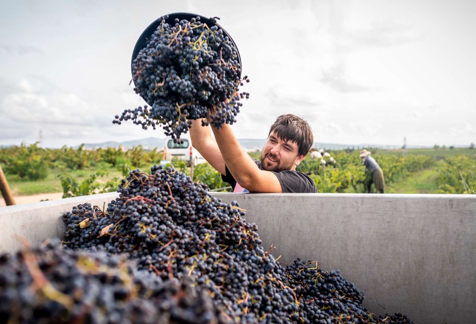 Mick O’Connell’s Four Corkers: Round up these Riojas for your Easter ...