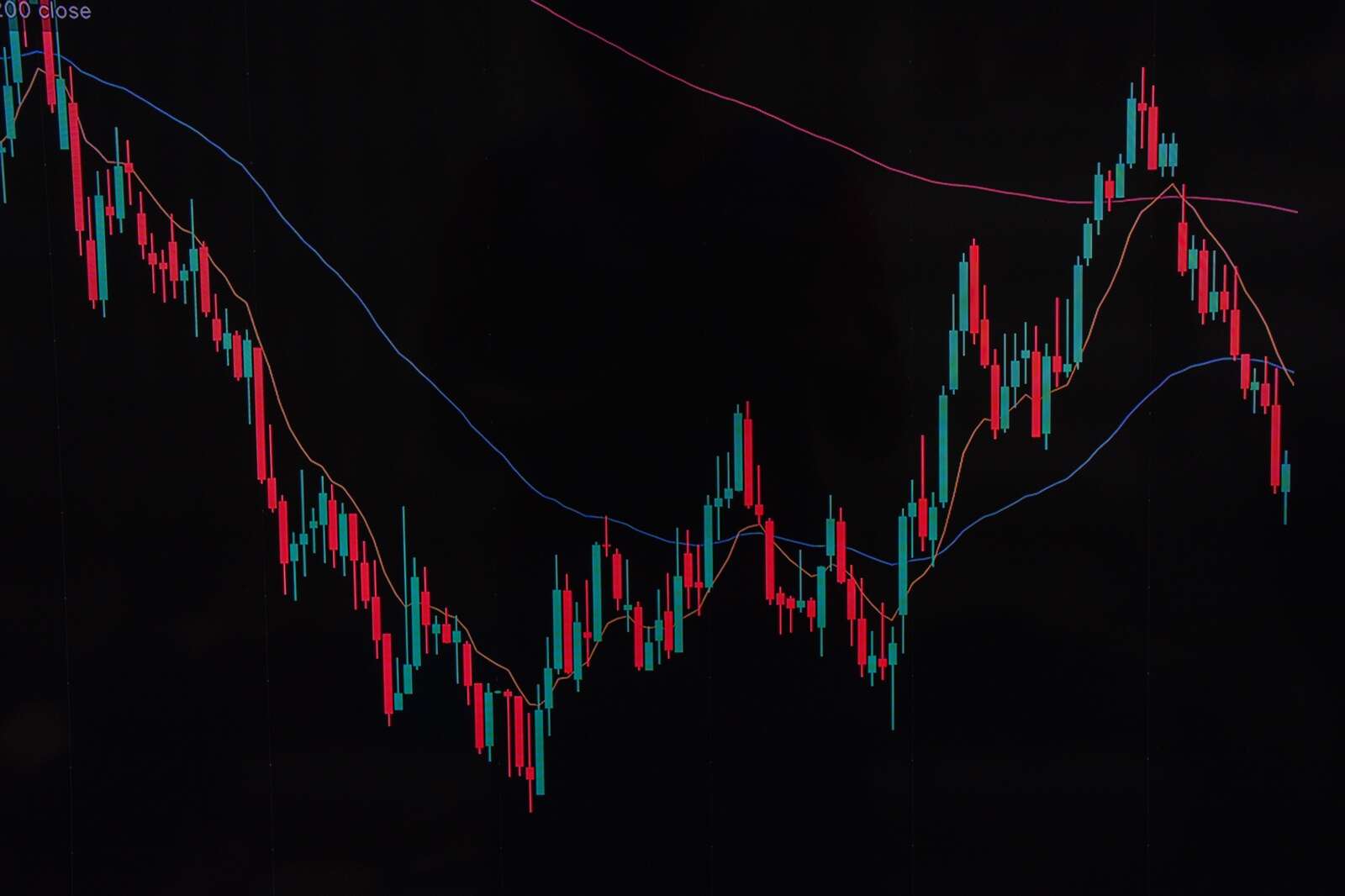 Novo Nordisk biggest gainer among booming European stocks as markets