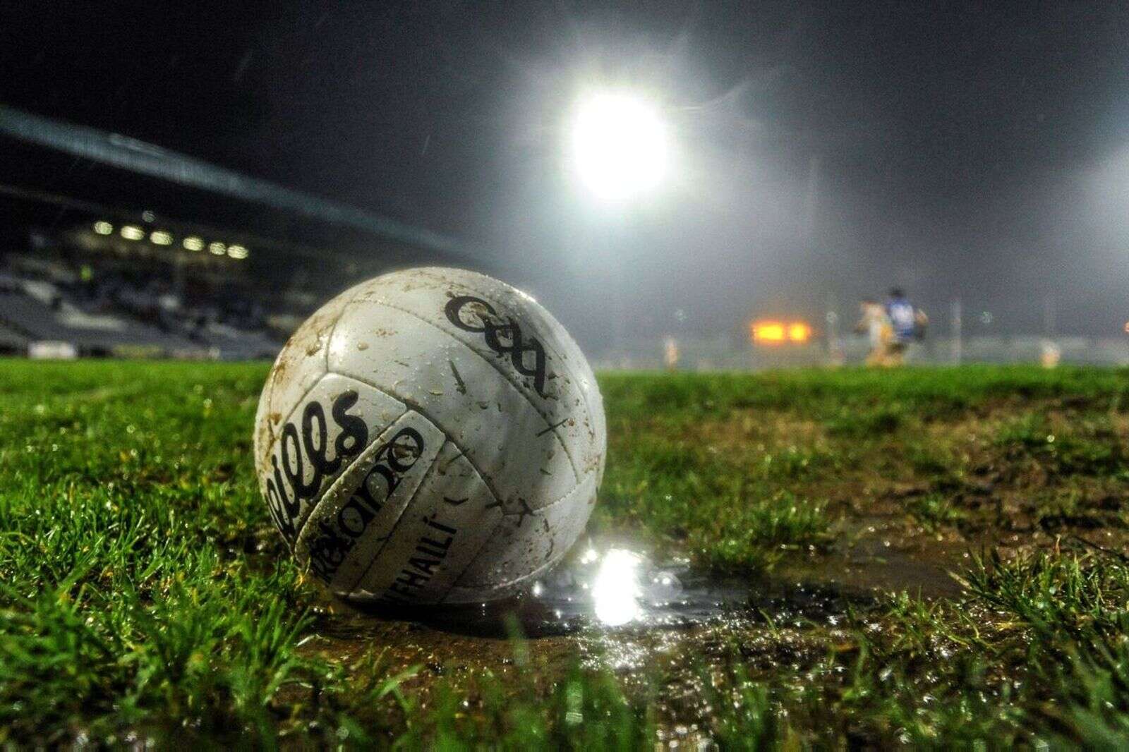 Jarlath Regan: It may be aggressively windswept and rain-sodden, but ...