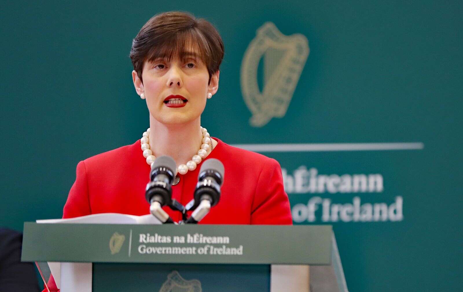 Foley expands exemption list for studying Irish language | Business Post