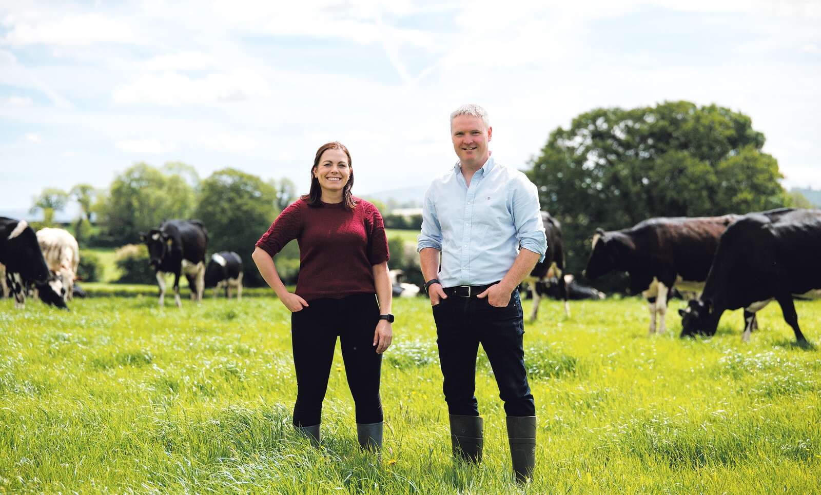 The Irish export opportunity hiding in the freezer
