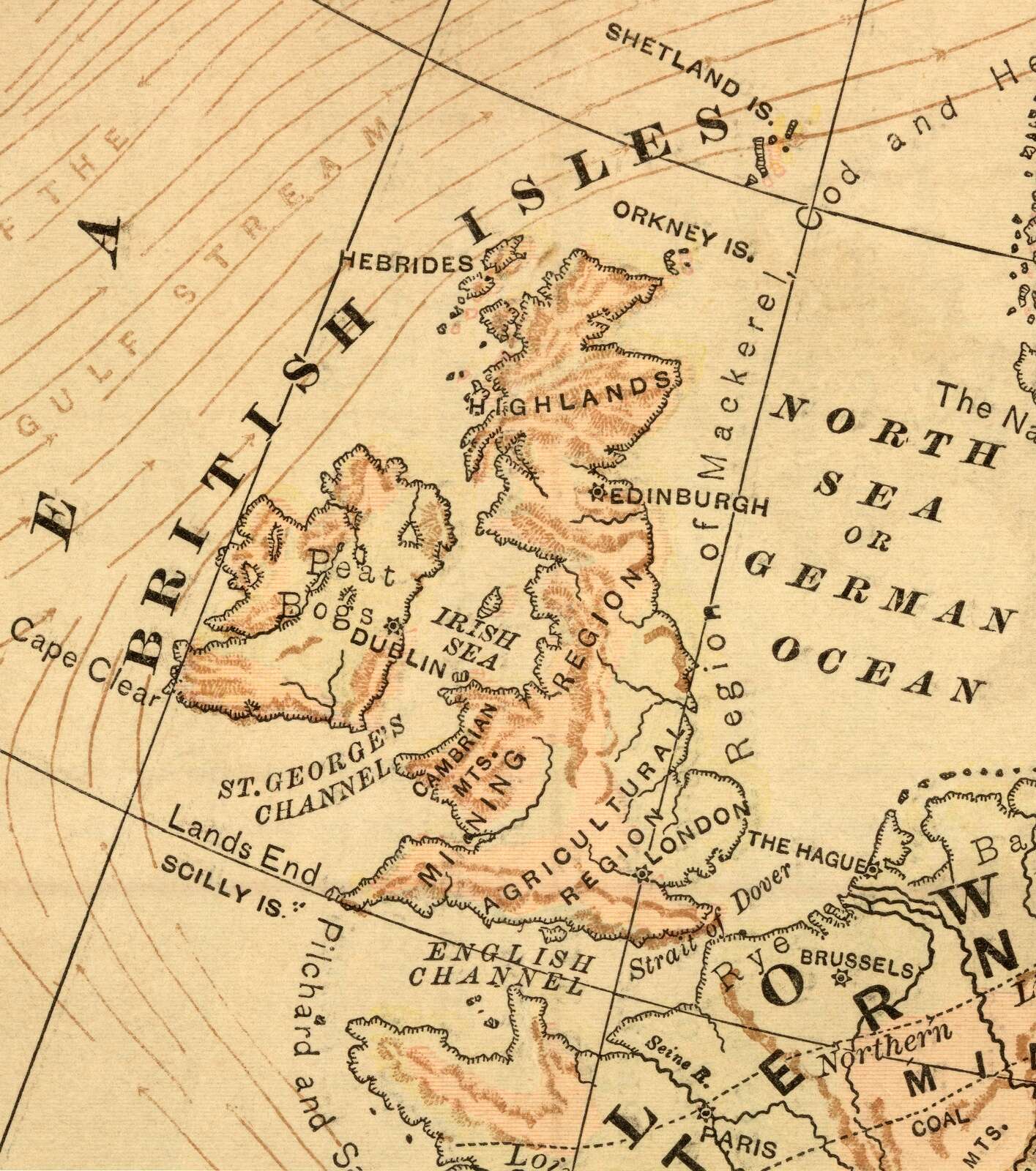 Experts view: Ireland could attract wealthy non doms put out by UK tax