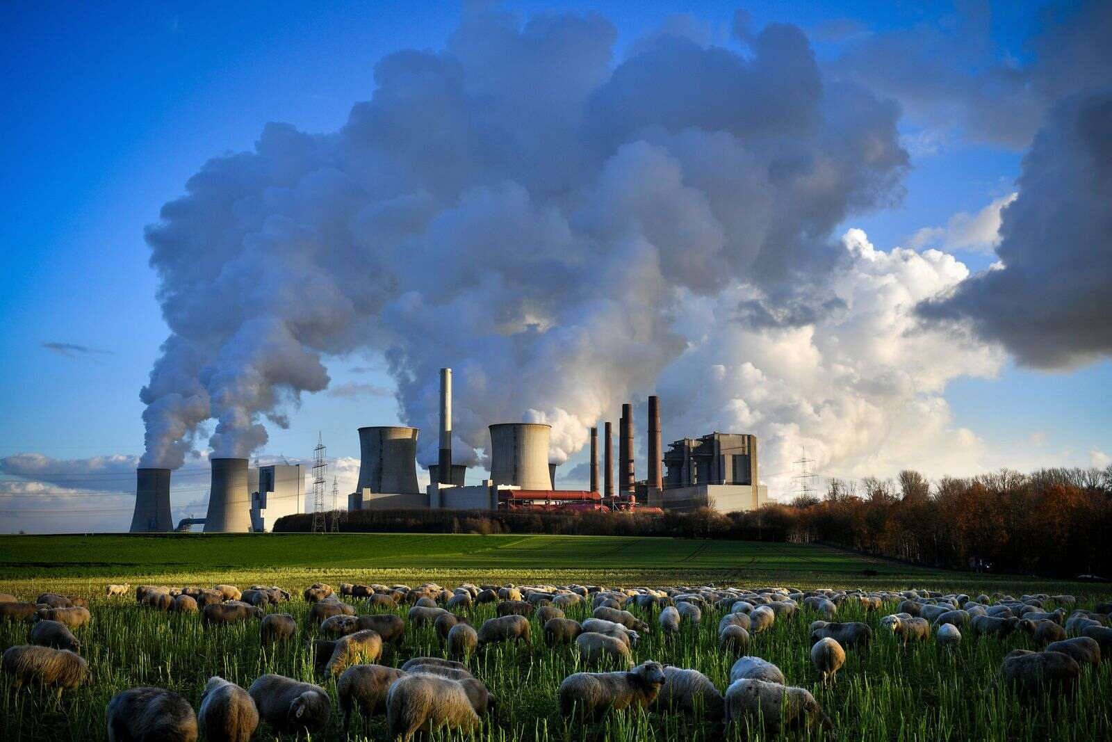 Explainer: Have Ireland's emissions finally peaked? - Vimarsana News