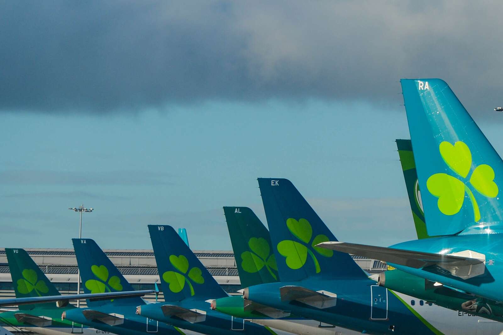 Aer Lingus CFO Nessa McNeela Resigns After Just Over a Year