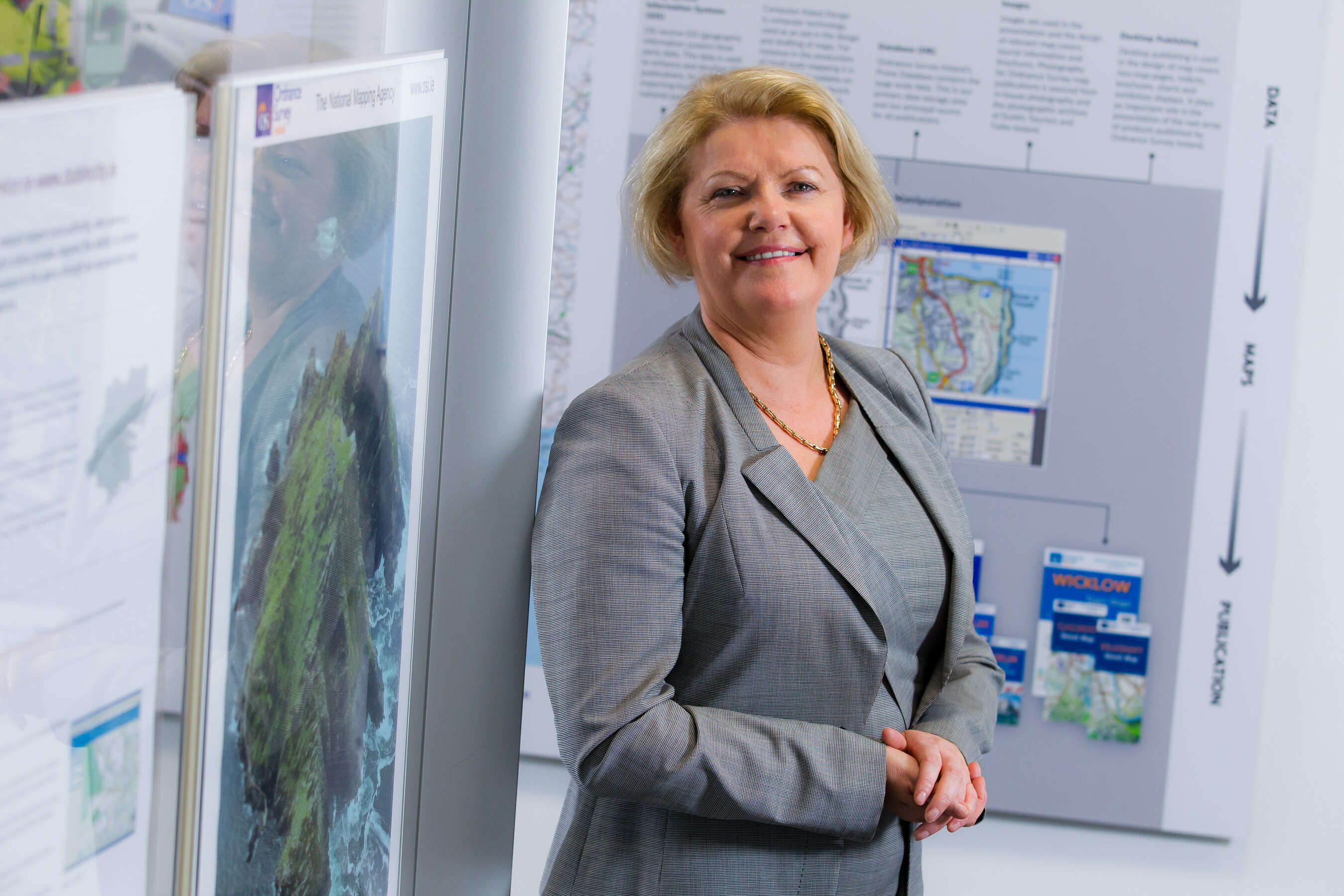 RDS seeking new chief executive after the departure of Geraldine Ruane ...