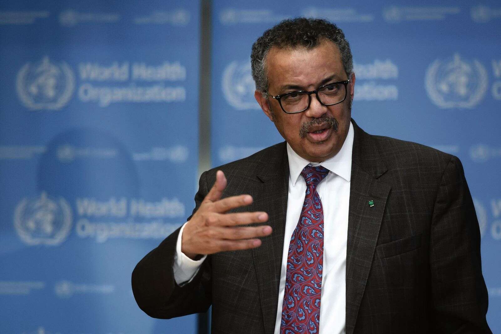 Health spending is not a cost to be contained but seen as investment in security: WHO boss - Vimarsana News