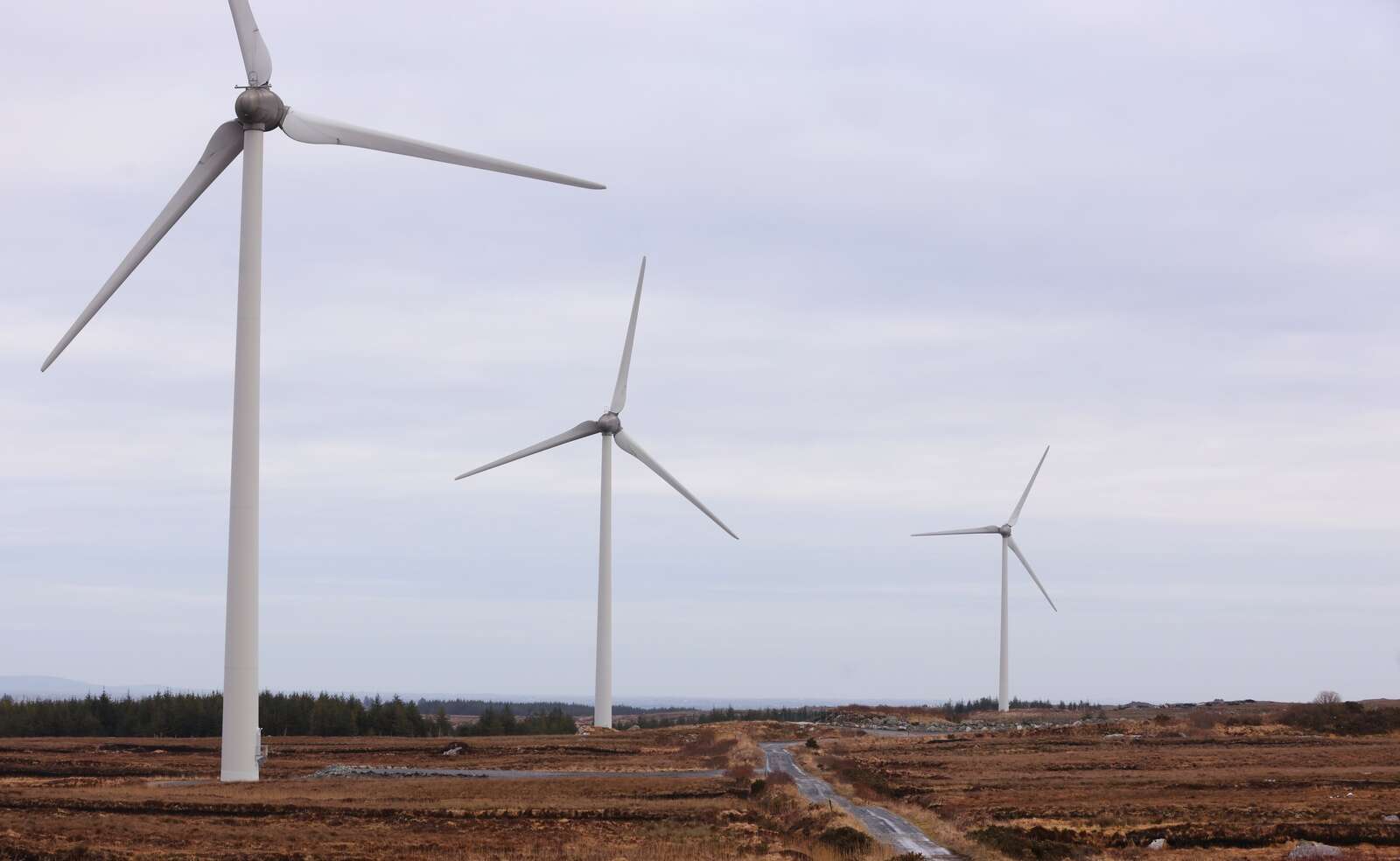 Energia pumps €44m into renewables arm
