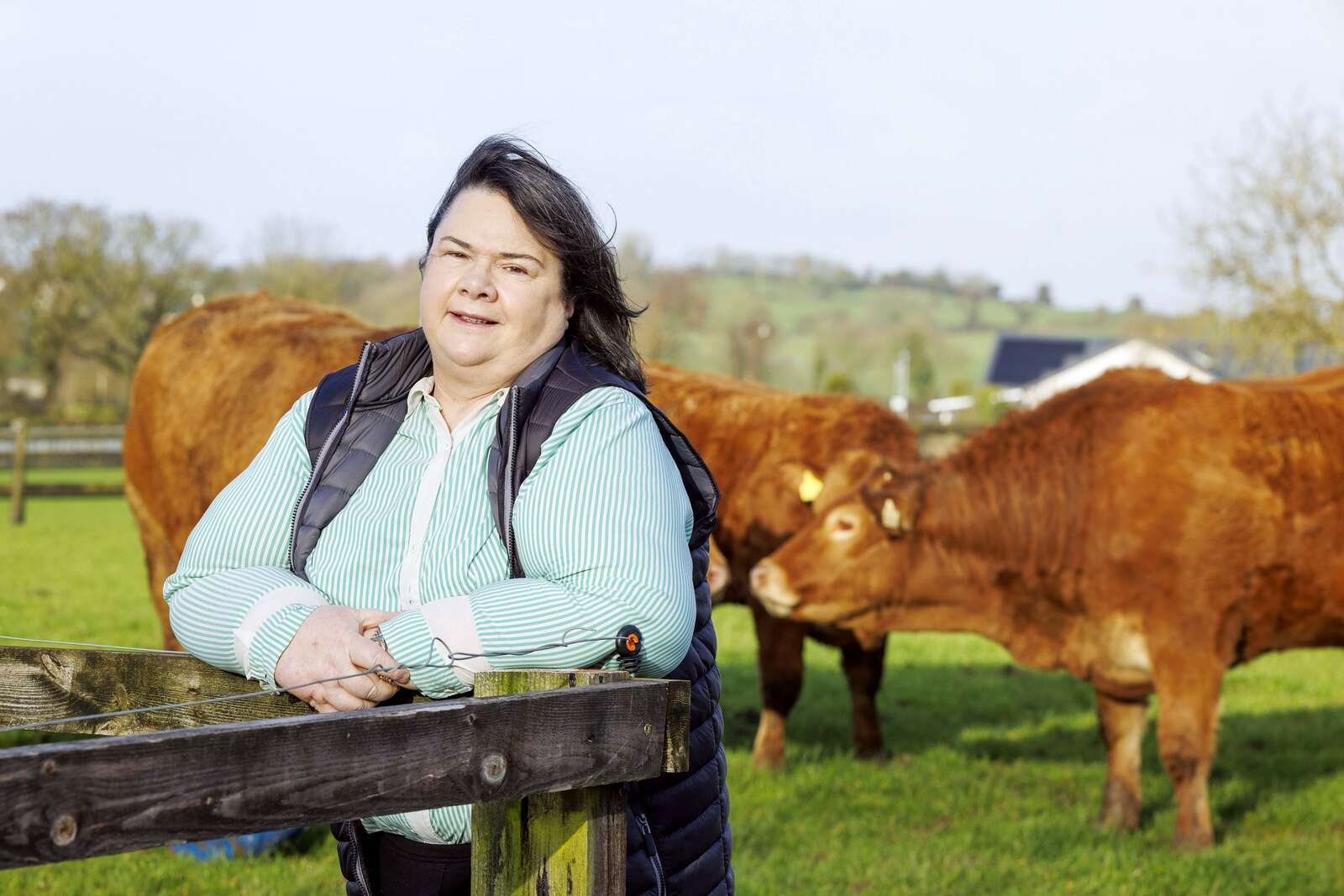 Kildare cattle genetics firm NCBC to invest €15m in R&D