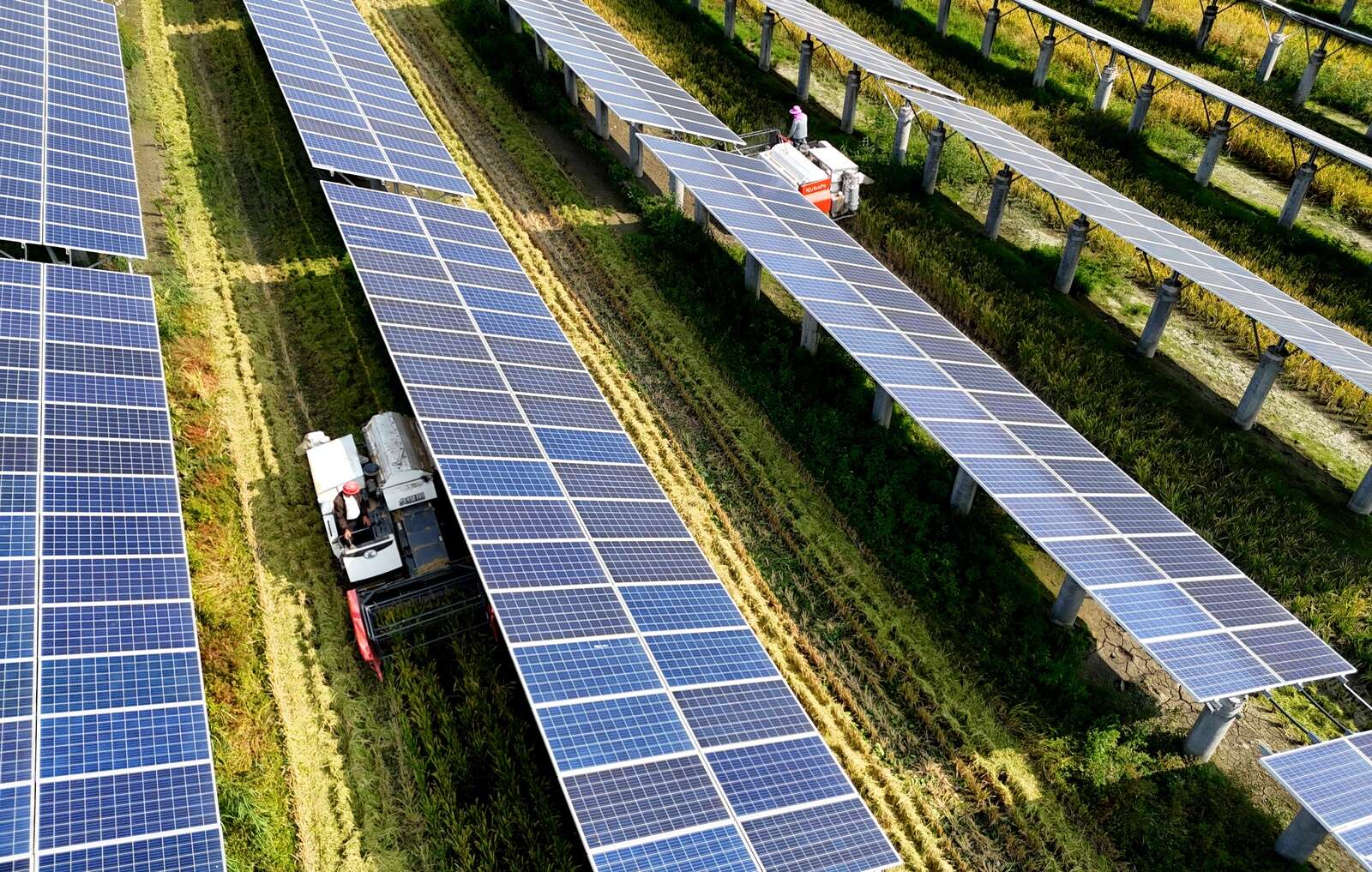ESB to break ground on first solar farm project in Meath | Business Post