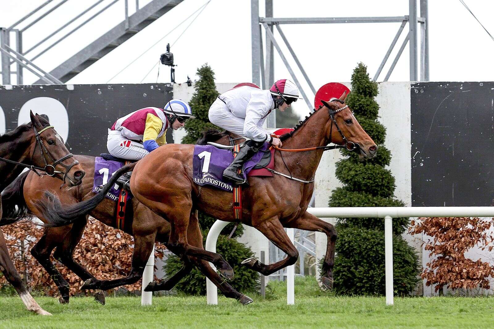 Losses triple at Leopardstown Racecourse as costs race ahead | Business ...