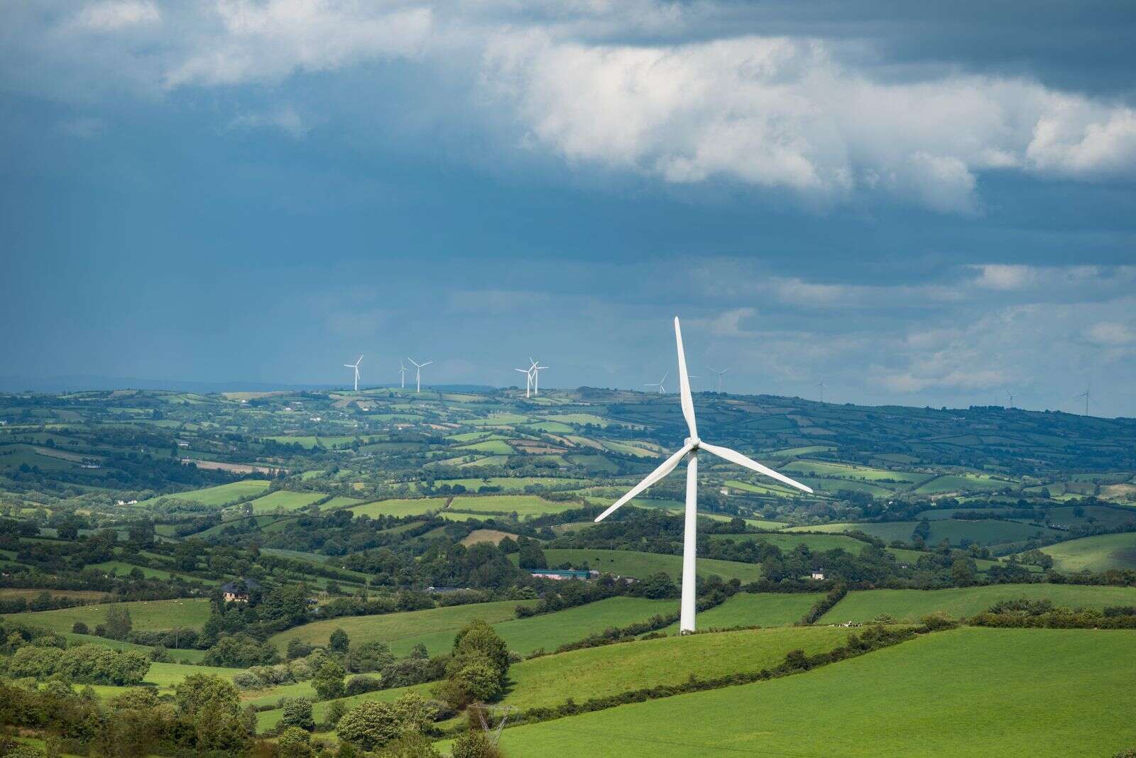 Energy firms found to have misled customers with ads claiming ‘100% green electricity’