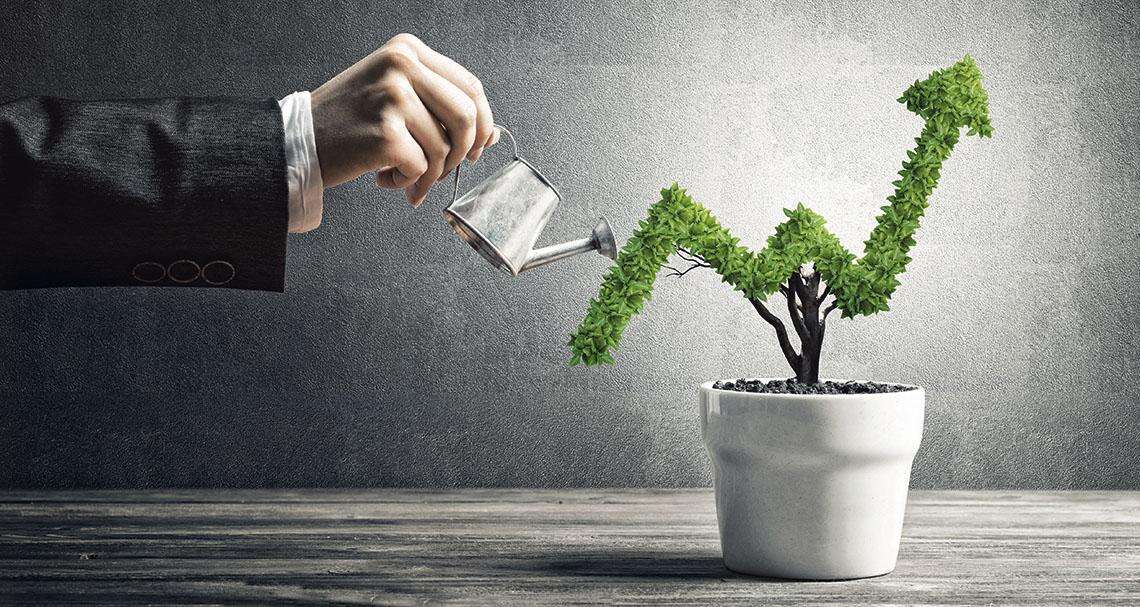 When small is beautiful | Business Post