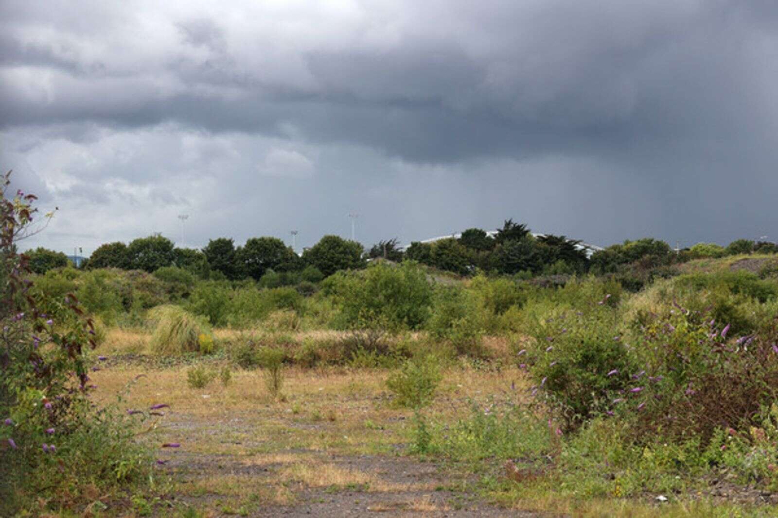 Johnny Ronan deal for Poolbeg homes ‘disappoints everyone’, says