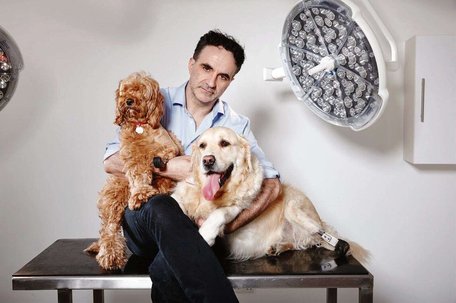 Beyond Supervet: Dark disclosures and humour mix in Supervet’s ...