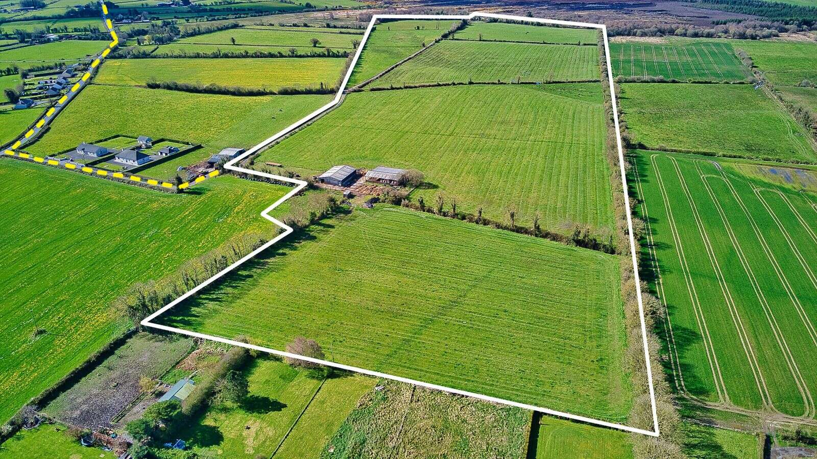 Land bank of 118 acres in Laois and Offaly to go under hammer