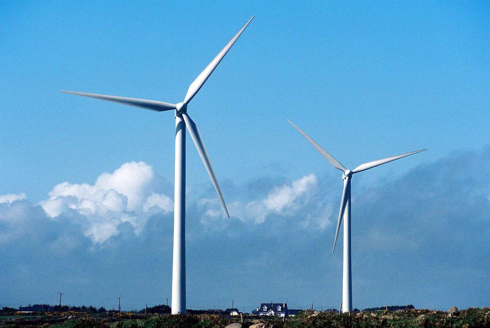 Electric Ireland says most of surging profits will be returned to the