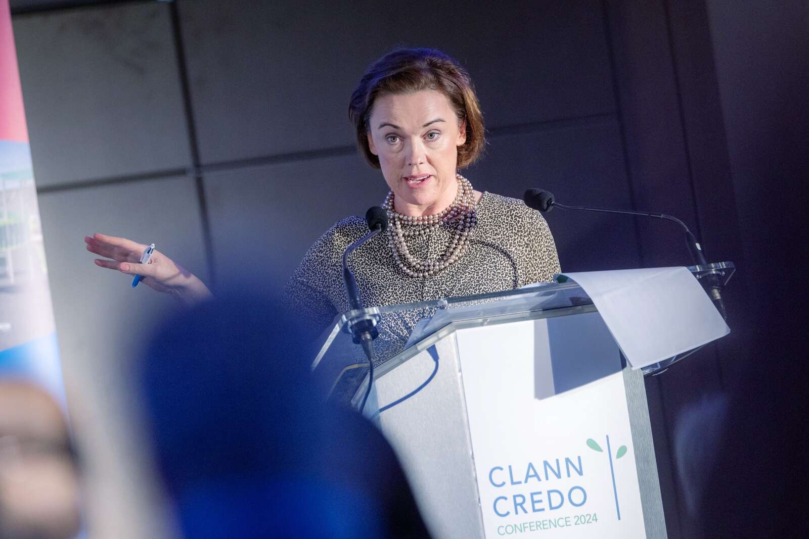 ‘Social finance should be affordable’: Clann Credo chief’s discontent ...