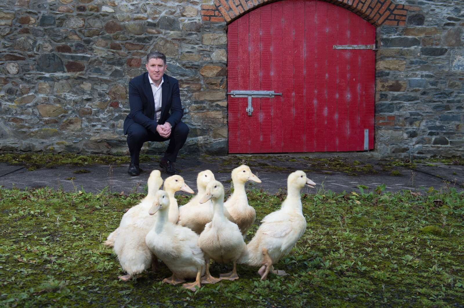 ‘A very worrying timeframe’: Irish poultry industry braces for more bird flu outbreaks