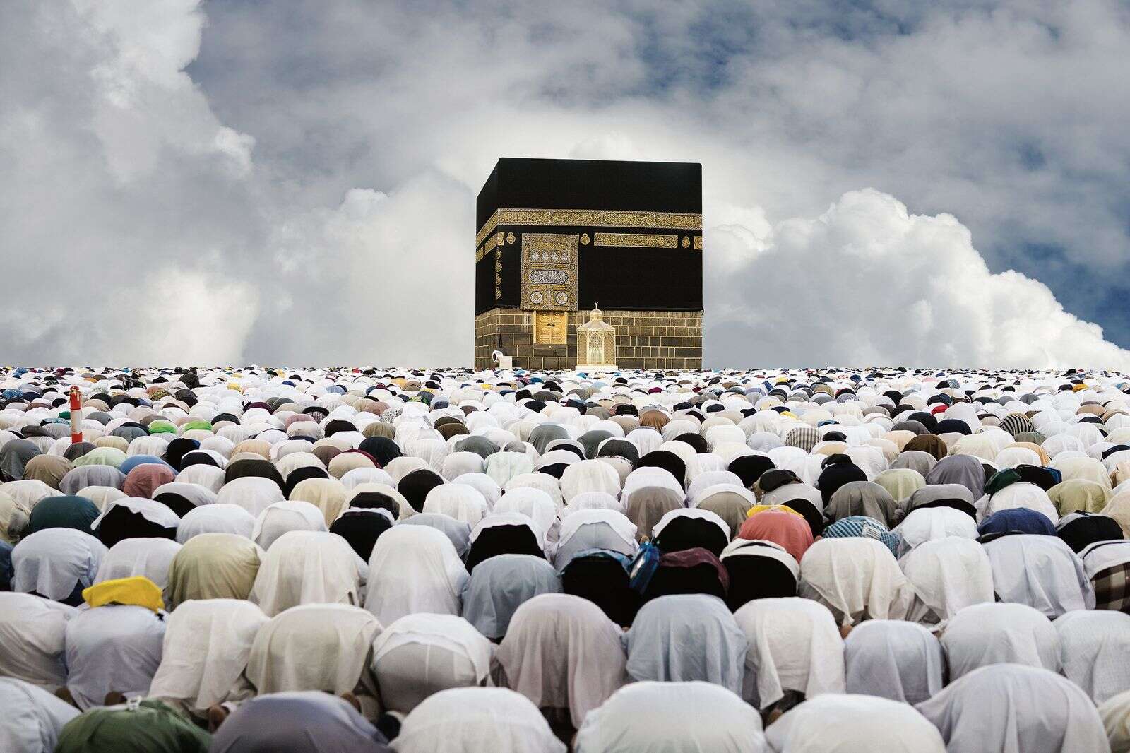 The Muslim Problem: A convincing and cogent analysis of Islamic ...