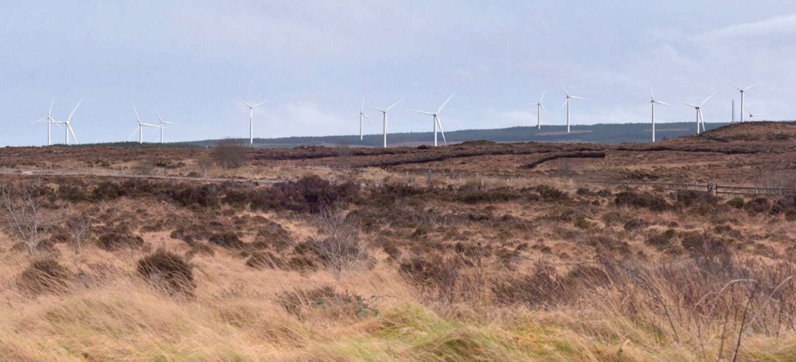 Meenbog Windarm in limbo after judge dismisses appeal in wake of ...