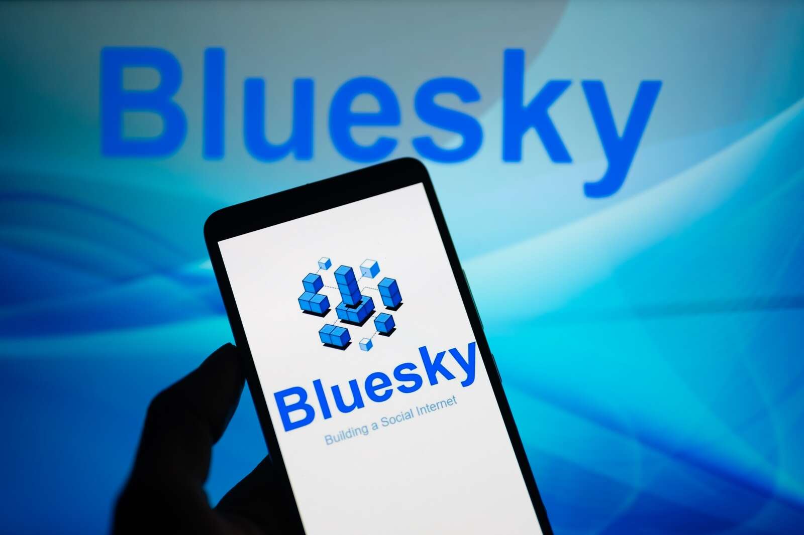 Dublin-based expert joins Bluesky after controversial exit from Elon Musk's X - Vimarsana News