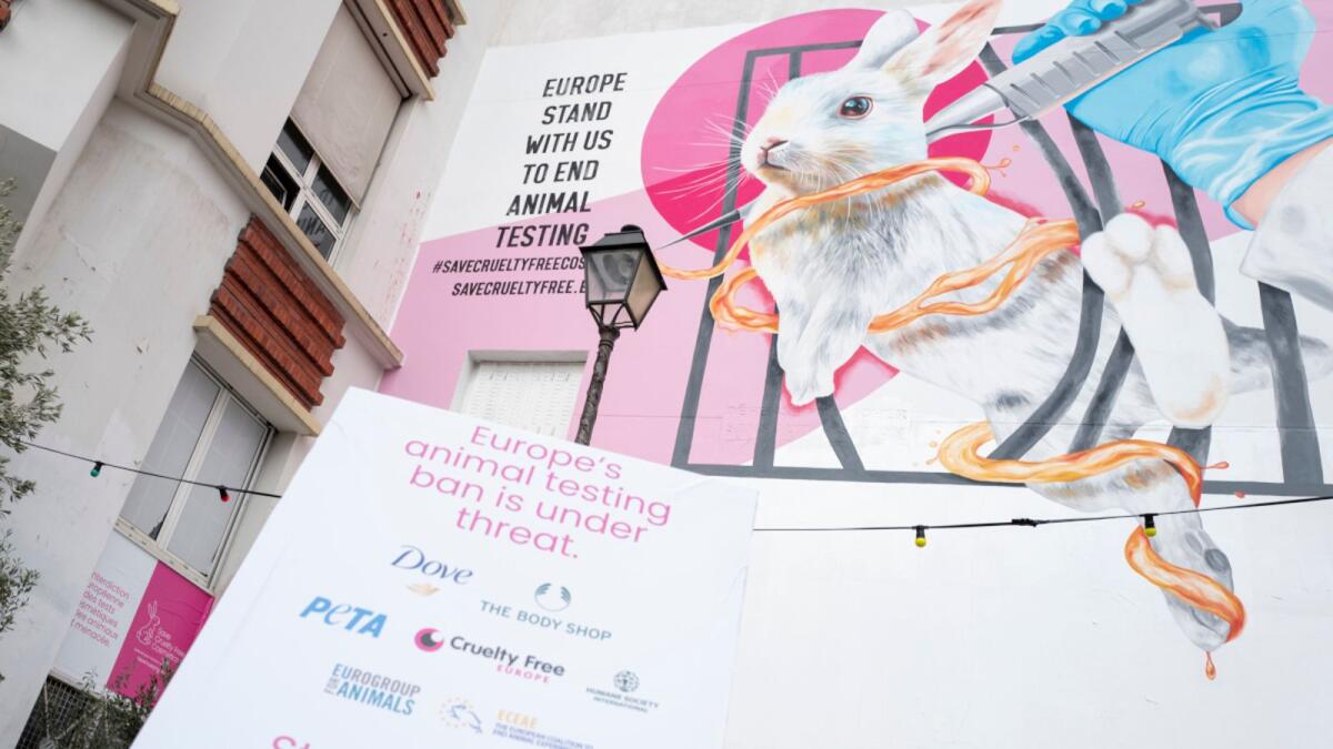Body Shop and Dove launch campaign to save ban on animal testing | Business  Post